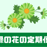 緑の花