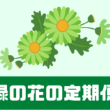 「緑の花の定期便」緑のお花のサブスク！評判や口コミは！？