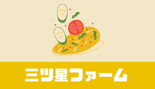 「三ツ星ファーム」口コミや評判は？冷凍弁当の宅食！【スキップ可】